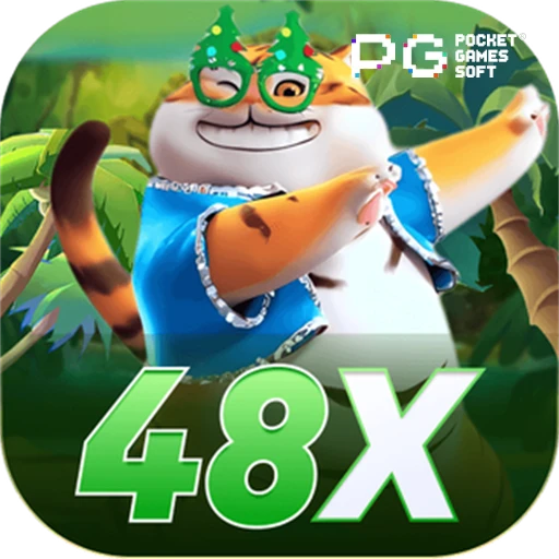 48x.com logo